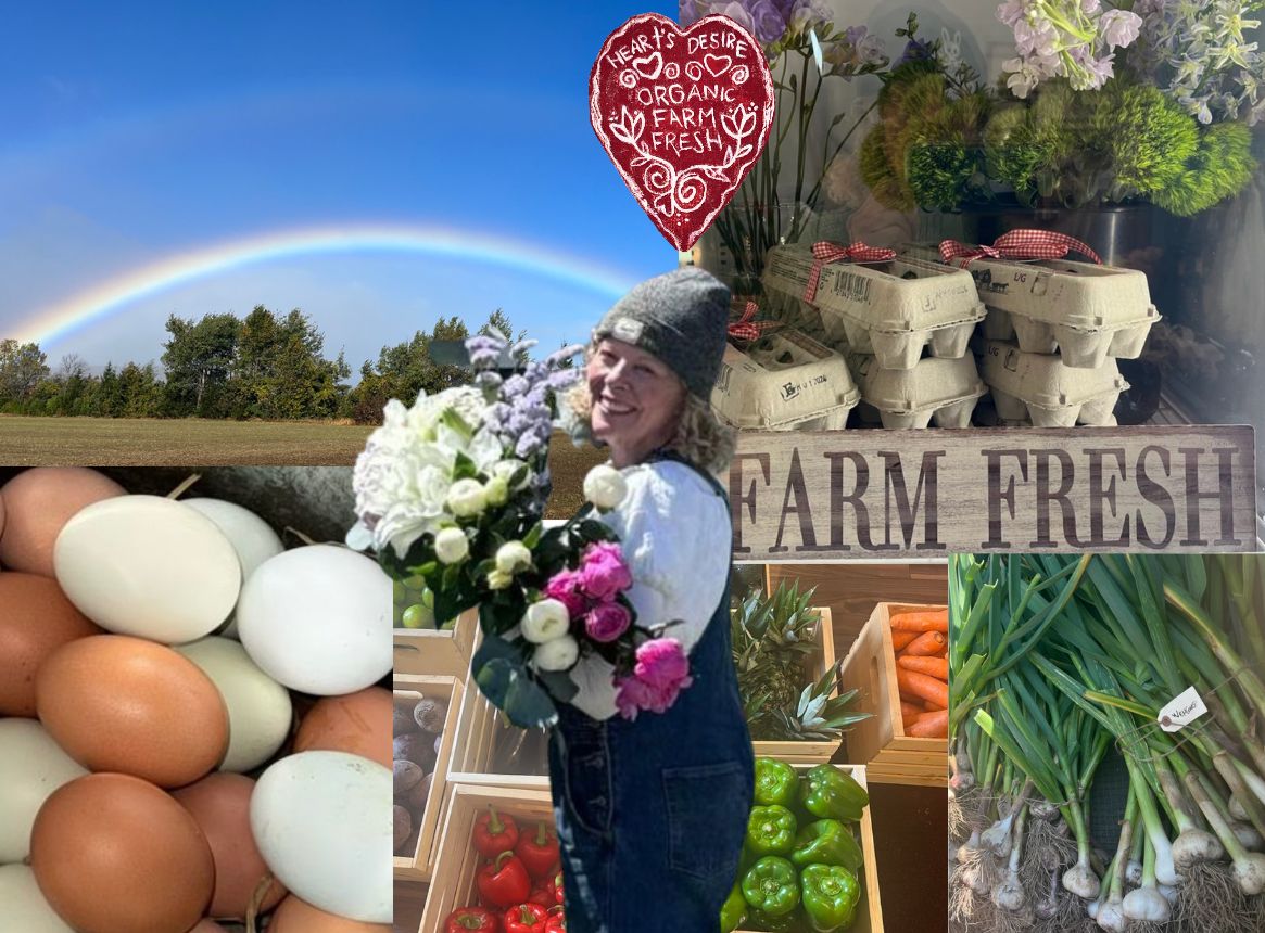 Hearts Desire Farm fresh garlic, eggs, veggies and other produce, flowers and vintage clothing in Collingwood