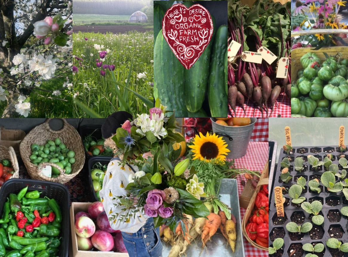 Hearts Desire Farm flowers and produce in Collingwood